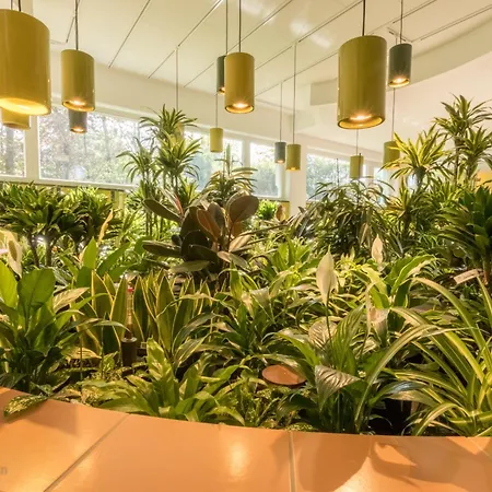 Romantik Namenlos 4* Ahrenshoop